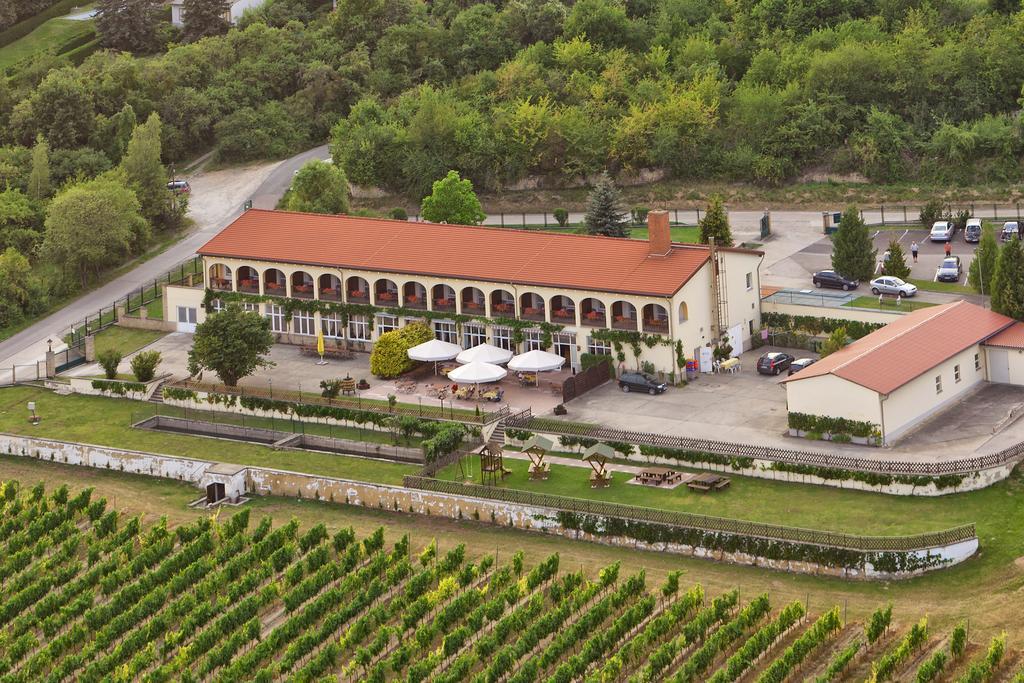 Rebschule Freyburg