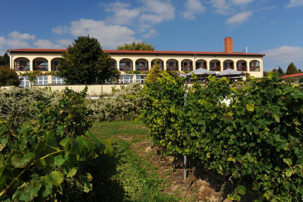 Rebschule Hotel Freyburg (Unstrut)